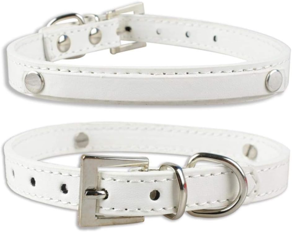 diy leather dog collar from belt