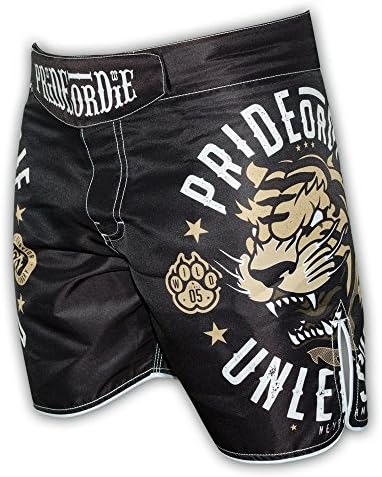 Pride or Die Unleashed Fight Shorts