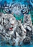 Find 12 White Tigers Fleece Throw Signature Collection