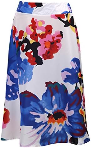Womens Girls Fashion Floral Print High Waist Long Dress With Pleat A-Line Flared Skirt (Blue, S)
