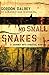 No Small Snakes: A Journey Into Spiritual Warfare