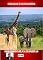 Livro GIRAFAS E ELEFANTES