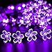 UCTEK Solar Christmas String Lights, 21ft 50 Halloween String Lights, Fairy LED Lights String, Solar Flower Decorative Lighting for Outdoor Home Garden Patio Xmas Trees Party and Holiday Purple