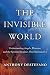The Invisible World: Understanding Angels, Demons, and the Spiritual Realities That Surround Us by Anthony DeStefano