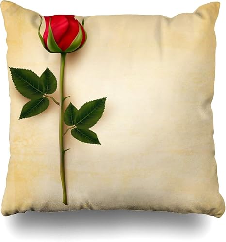 Amazon Co Jp Ahawoso クッションカバー 14x24 アラビア語 アラジン おとぎ話 アラジン ストーリー ジン アラブ アジア 宝石 クッションカバー ホームデコレーション 枕カバー 24x24 ゴールド ホーム キッチン