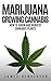 Marijuana: Growing Cannabis - How To Grow And Harvest Cannabis Plants