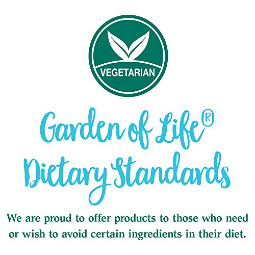 image for Garden of Life Whole Food Vegetable Supplement - Perfect Food Green Su