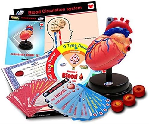 Eastcolight 29964 Cardiology Deluxe Set by Eastcolight