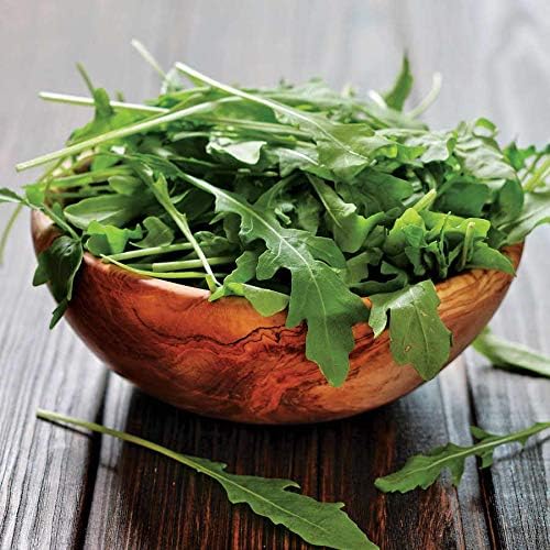 Natures Root Organic Rocket (Arugula) Seeds 250g - Sprouting Microgreens - Image 5