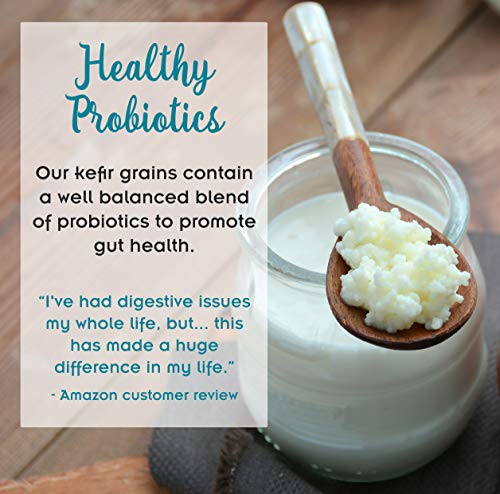 2 1TBSP+Active+Organic+Kefir+Grains