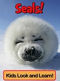 Seals! Learn About Seals and Enjoy Colorful Pictures - Look and Learn! (50+ Photos of Seals)