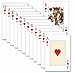 StingRay Canasta Cards - 2 Decks