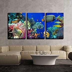 Crowded Offshore Rocky Reef - 3 Panel Canvas Art
