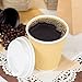 Karat 12 oz Ripple Insulated Coffee Cup [500 Count] Disposable Paper Hot Cup, Sturdy & Leak Proof, 90mm, No Lids