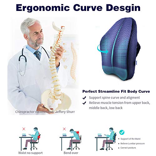 Winjoy Ergonomic Lumbar Support Pillow, 100% Pure Memory Foam Back Cushion with Breathable 3D Back Pillow Design for Lower Back Pain Relief,Durable Adjustable Straps for Chair/Recliner/Car Seat