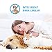 Bark Collar, 2018 Adjustable Vibration, Shock and Sensitivity Level 1-7, Rechargeable Waterproof, Smart Barking Detection for Small and Large Dog, No Bark Collar