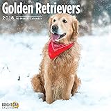 Golden Retriever 2018 16 Month Wall Calendar 12 x 12 inches
