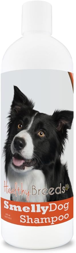 non stinky stuff for dogs amazon