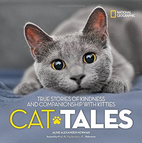 Cat Tales: True Stories of Kindness and Companionship With Kitties