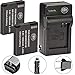 BM Premium 2 Pack of DMW-BCM13E Batteries and Charger for Panasonic Lumix DC-TS7,DMC-FT5A, LZ40, TS5, TS6, TZ37, TZ40, TZ41, TZ55, TZ60, ZS27, ZS30, ZS35, DMC-ZS40, DMC-ZS45, DMC-ZS50 Digital Cameras