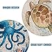 CoxFox Set of 6 Coasters for Drinks with Holder Funny Absorbent Ceramic Coaster Set for Coffee Table Cup Women Men Gift (Sea)