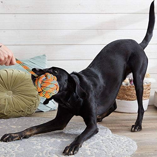 Youngever 6 Pack Large Dog Rope Toys, Chew Toys, Multicolored, 6 Piece Assortment - Image 5