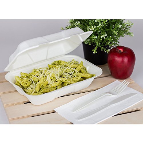 Karat Earth KE-BHC96-1C 9" x 6" Bagasse Hinged Clamshell Container (Pack of 200)
