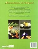Image de Nuevas Ideas de Origami (Spanish Edition)