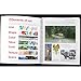 Illustrated Elements of Art and Principles of Design: Hands on Activities, Full-Color Reproductions, Descriptions of Each Concept