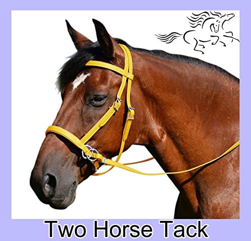Bitless Bridle & Reins, 2 in 1 Style, Made From Beta Biothane - Warmblood Size, Yellow Color