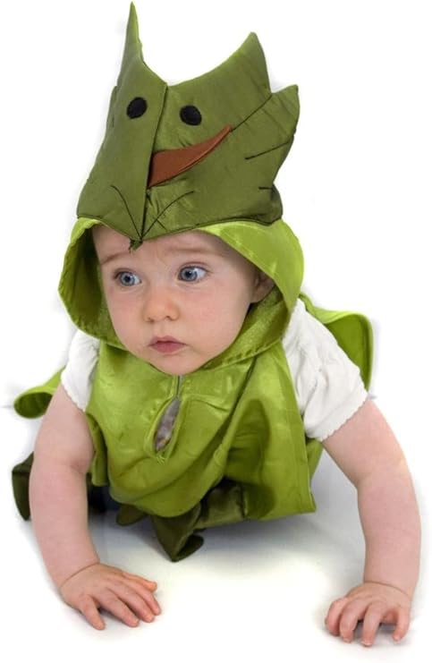 dinosaur outfit baby
