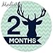 Modish Labels, 12 Monthly Baby Stickers, Baby Boy, Woodland, Deer, Antlers, Chevron, Mint, Navy Blue, Gray, Grey, Baby Month Stickers, Baby Book Keepsake, Photo Prop, Baby Shower Gift