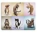 Wknoon Gaming Mouse Pad Custom Design,Yoga Cats Cute Kitty,Non-Slip Thick Rubber Large Mousepad Mat