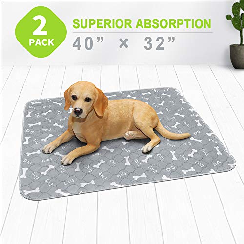 The 10 Best Washable Dog Pee Pads (of 2019) Buying Guide Best Pet Pro