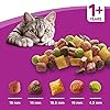 Whiskas-1-Dry-Cat-Food-for-Adult-cats-with-Chicken-1-bag-1-x-7-kg Whiskas 1+ Chicken 7kg Bag, Adult Cat Dry Food - Pack may vary