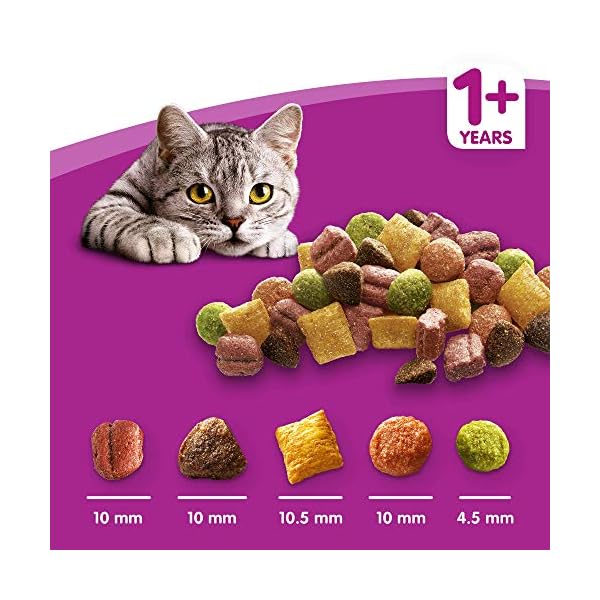 Whiskas-1-Dry-Cat-Food-for-Adult-cats-with-Chicken-1-bag-1-x-7-kg Whiskas 1+ Chicken 7kg Bag, Adult Cat Dry Food - Pack may vary