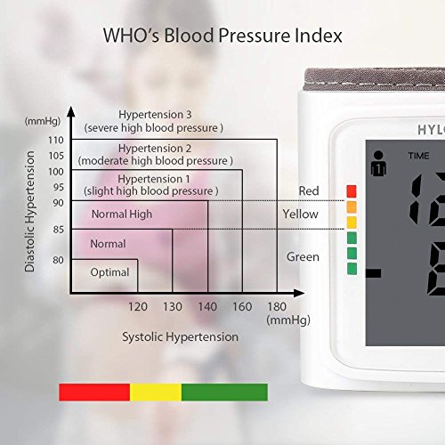 Blood Pressure Monitor HYLOGY Clinically Accurate Automatic Wrist Blood Pressure Cuff Monitor 2 * 120 Memory Storage FDA CE RoHS Approved