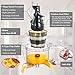 Masticating Juicer Machines, Hethtec Cold Press Juice Extractor with Large Double-Chute and Clean Brush for Fruits and Vegetables, High Yield, BPA-Free, 60R/M, 150W (red-1)