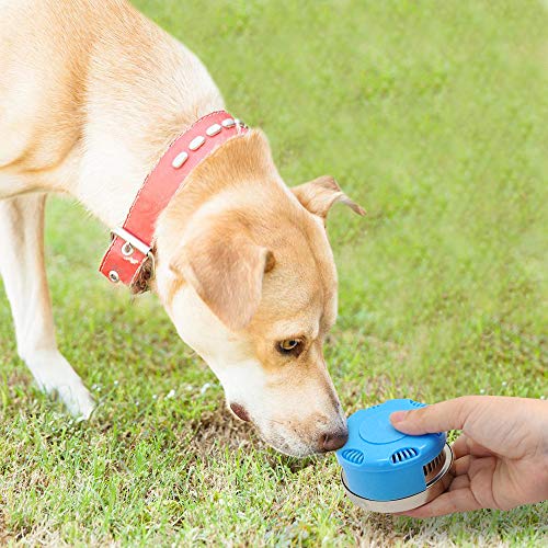 bare bones nosework supplies