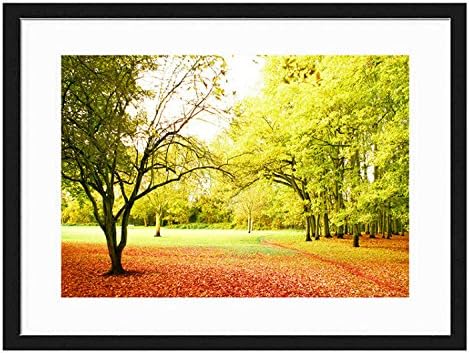 A Whisper To Magnificent Colours Of Autumn Photo/Poster Frame,16 Inch