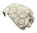 Qunson Womens Lace Chemo Beanie Hat Cap Turban for Cancer Patients White/cream