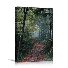signwin Canvas Wall Art Green Forest Dramatic Forest...