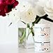 Best Nest Mama Body Butter | 100% Organic, Stretch Mark Belly Balm Cream, Intensive Moisturizer, Unscented, 4 Oz
