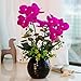 YILIYAJIA Artificial Orchid Bonsai with Ceramics Vase, Fake PU Real Touch Flowers Phalaenopsis Bonsai for Table Office Home Party Decoration (Style 1, Black Vase)