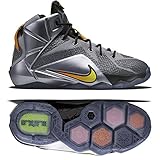 Nike Lebron XII GS Flight 12 Kids Basketball Sneakers New Grey