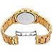 Akribos Multi-Function Stainless Steel Bracelet Watch - Three Hand Movement with Two Time Zones and Date Complication - Men's Ultimate Swiss Watch - AK736 (Gold-Tone)