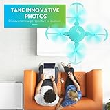 fingerlings turquoise monkey fingerlings turquoise monkey