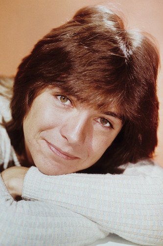 David Cassidy The Partridge Family 24x36 Poster