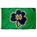 College Flags & Banners Co. Irish Shamrock Banner Flag