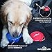 Dog car Seat Protector Cover for Cars SUV’s and Small Trucks – Anti-Slip Rear Bench Waterproof Pet Hammock for Back Seat with Side Flaps, Anchors, Seat Belt and Latch Openings, Plus 4 gifts